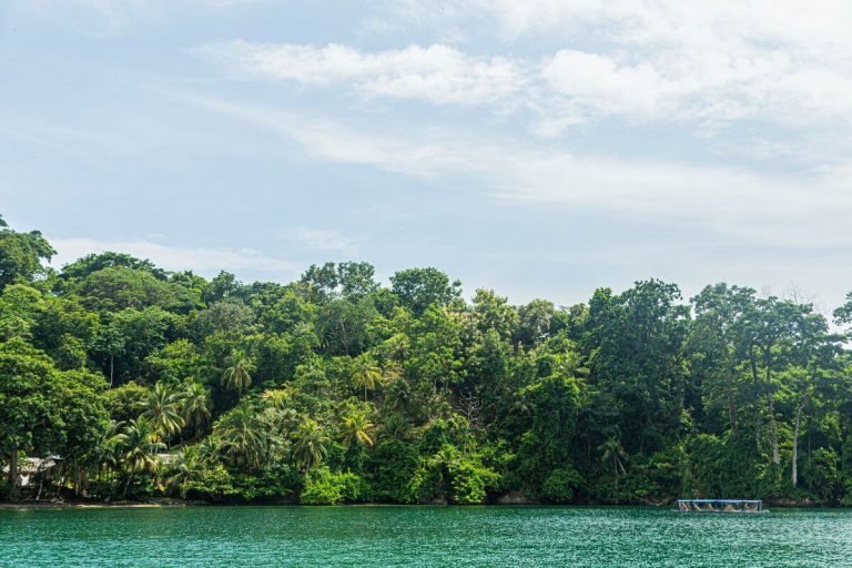 Pacific coast near Nuqui – one of the top 10 places to visit in Colombia